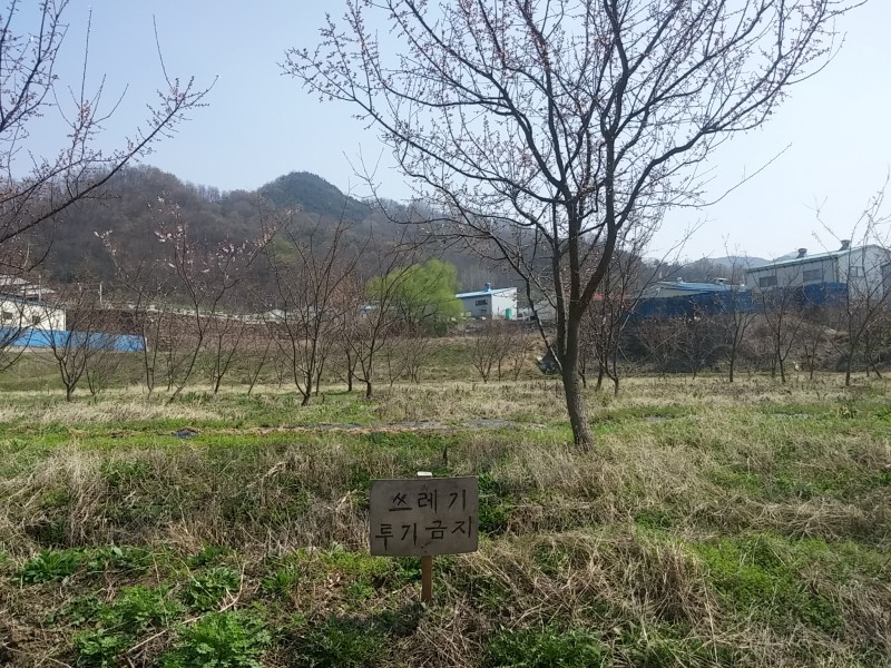 월항면 계획관리 토지매매 사진 - 4