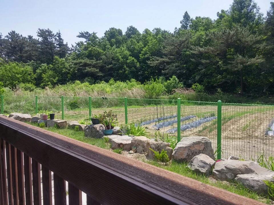 월항면 조용한 전원주택매매 사진 - 2