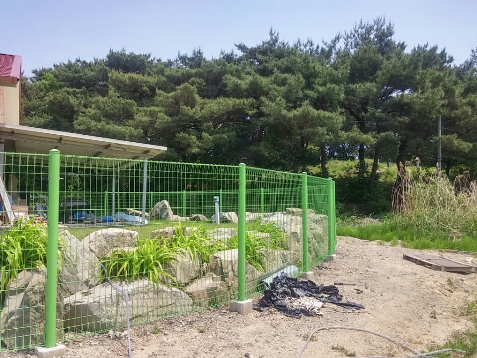 월항면 조용한 전원주택매매 사진 - 5