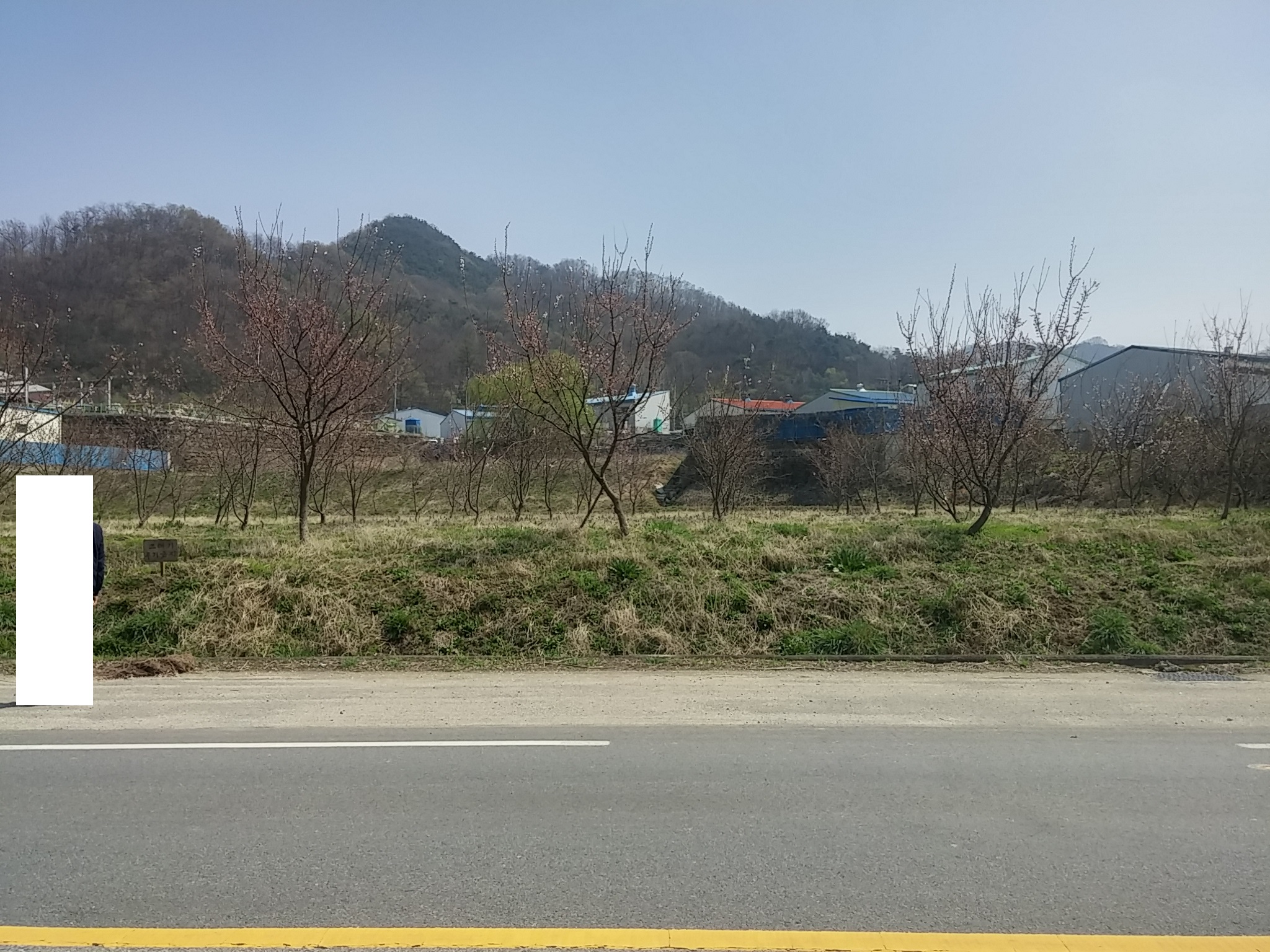 월항면 계획관리 토지매매 사진 - 3