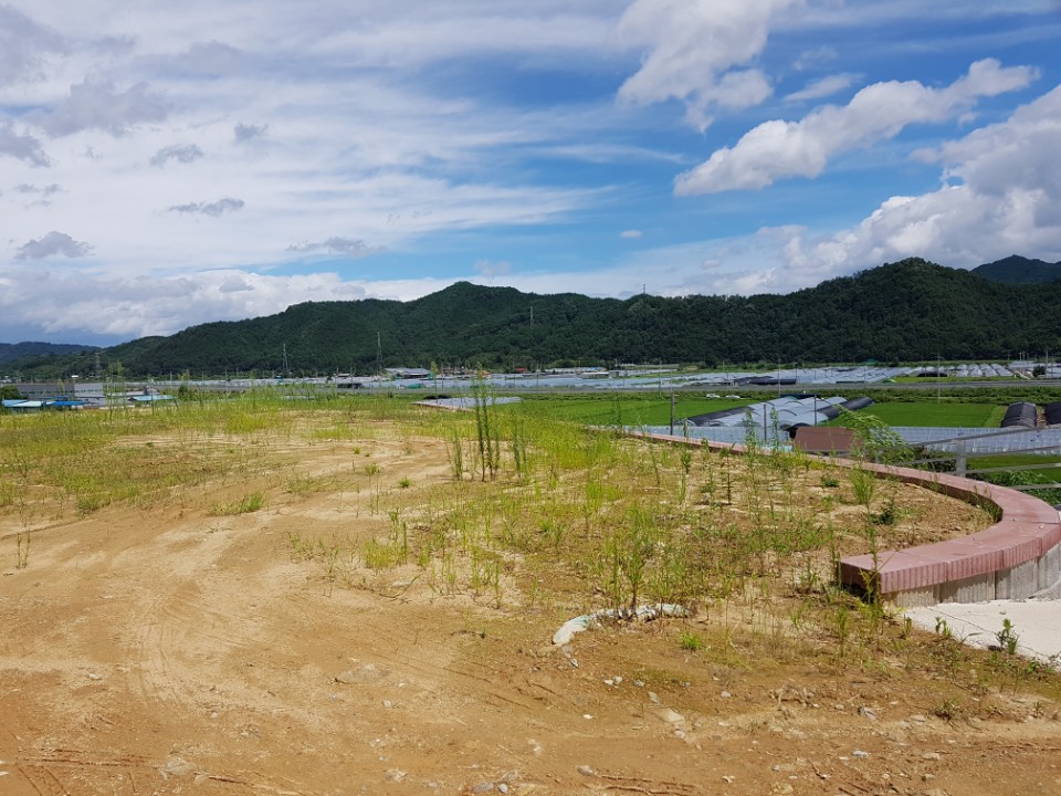 수륜면 전원주택지 매매(토목공사완료) 사진 - 4