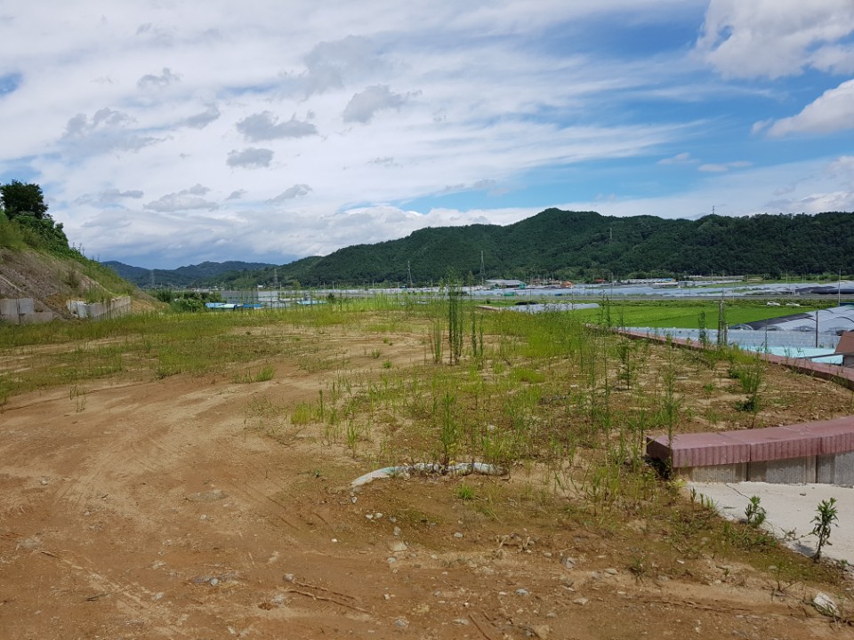 수륜면 전원주택지 매매(토목공사완료) 사진 - 6