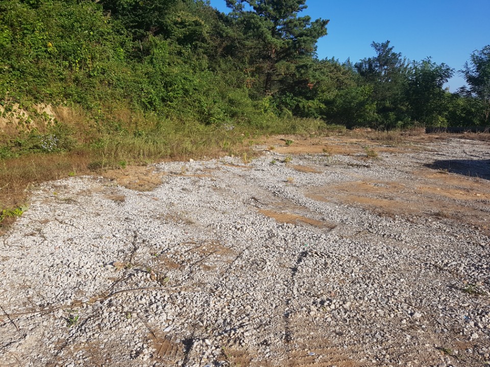 수륜면 전망좋은 전원주택지 매매 사진 - 4