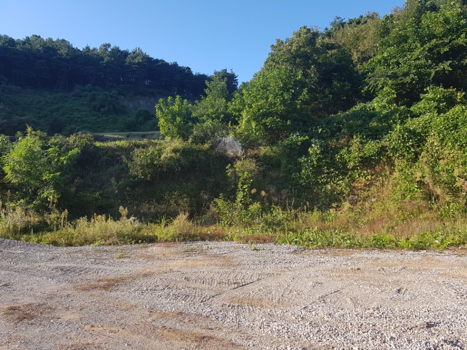 수륜면 전망좋은 전원주택지 매매 사진 - 7