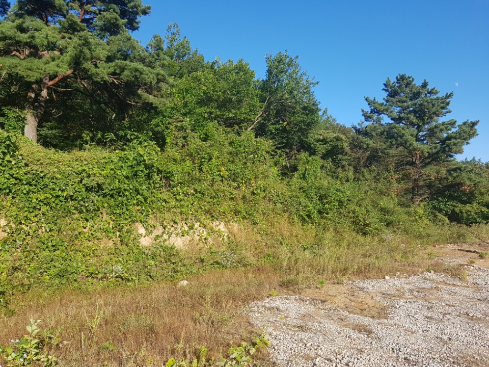 수륜면 전망좋은 전원주택지 매매 사진 - 8