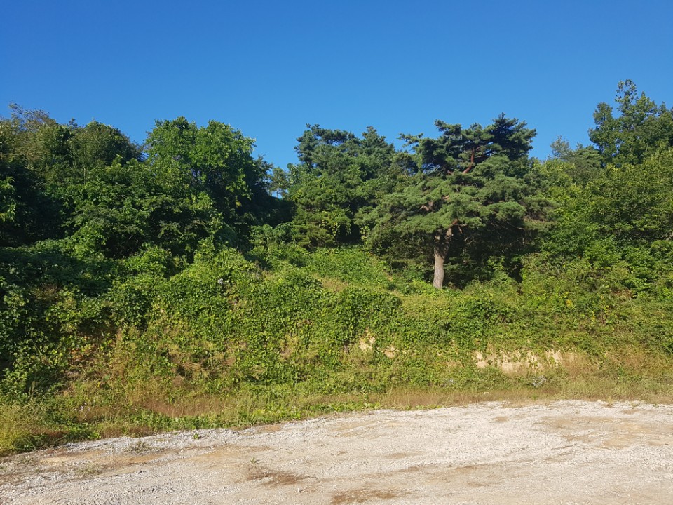 수륜면 전망좋은 전원주택지 매매 사진 - 12