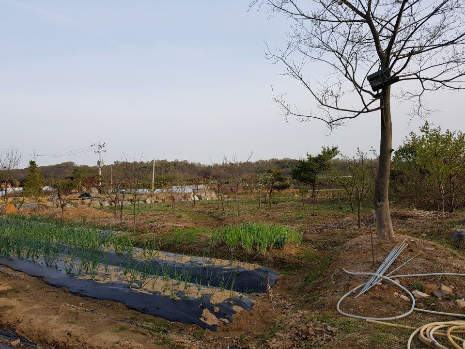 월항면 친환경 전원주택 매매 사진 - 7