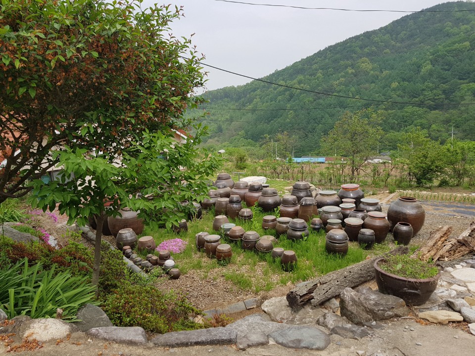 가천면 청정지역 황토집+시골집매매 사진 - 4
