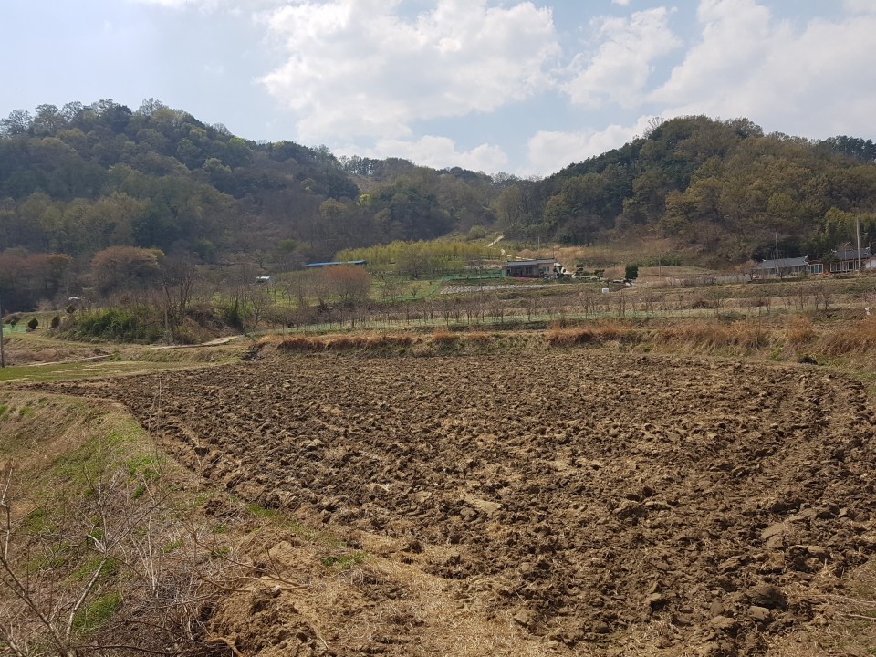 전원주택 가능한 관리지역매매 사진 - 5