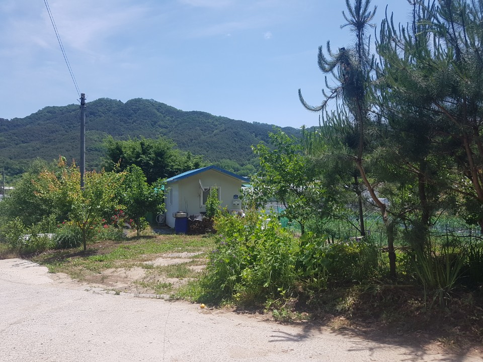 성산리 관리지역 매매 사진 - 2