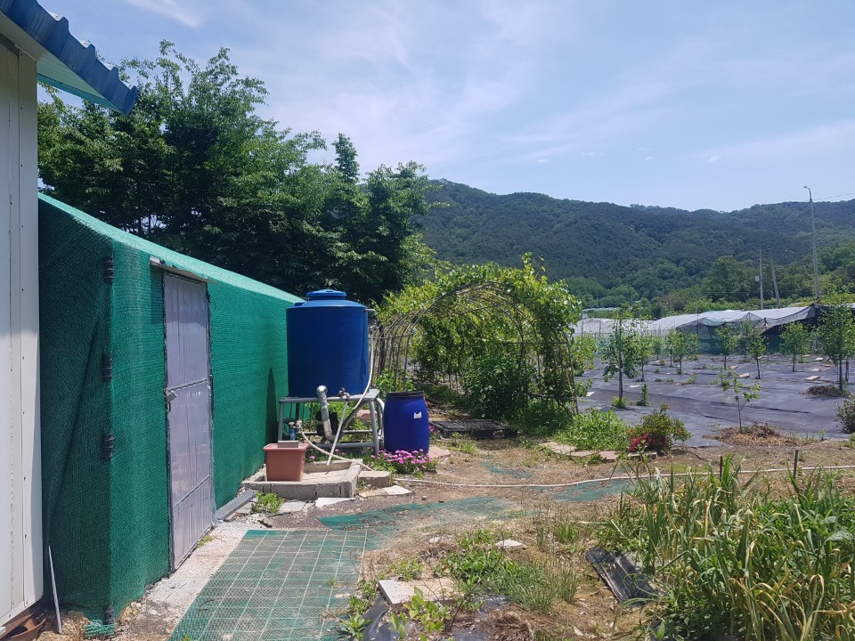 성산리 관리지역 매매 사진 - 5