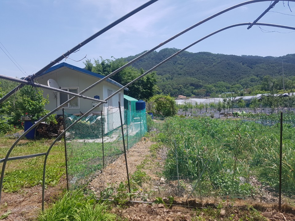 성산리 관리지역 매매 사진 - 3