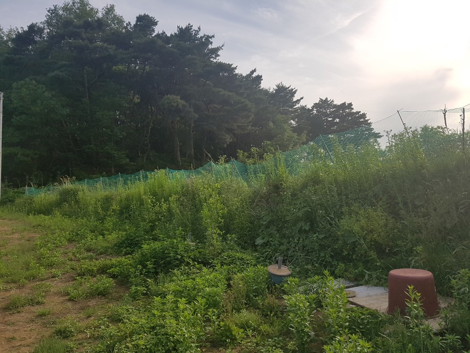 용암면 전원주택지 매매 사진 - 3