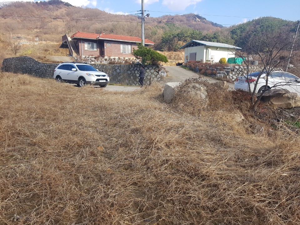 월항면 전원주택지 나텃밭매매 사진 - 7