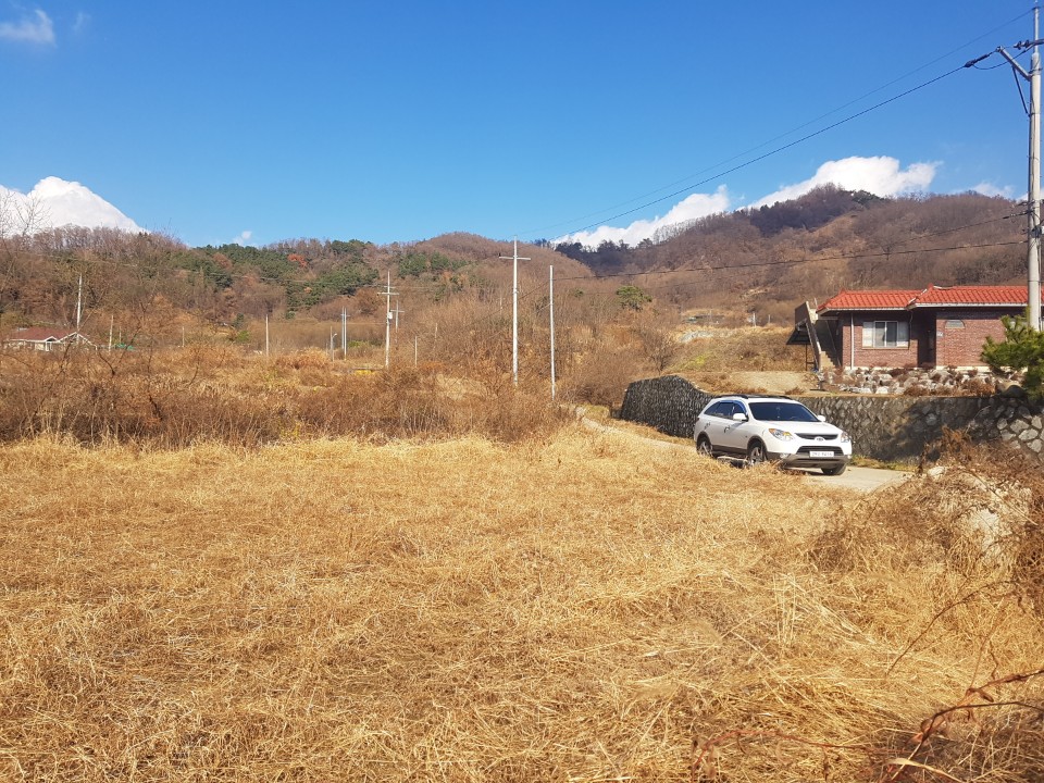월항면 전원주택지 나텃밭매매 사진 - 2