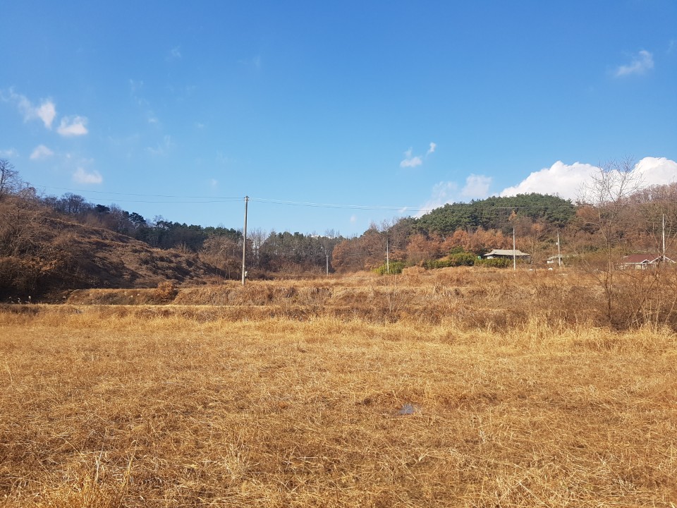 월항면 전원주택지 나텃밭매매 사진 - 3