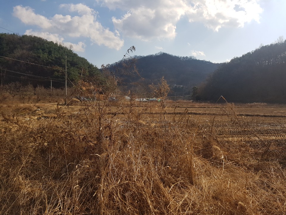 월항면 전원주택지 나텃밭매매 사진 - 8