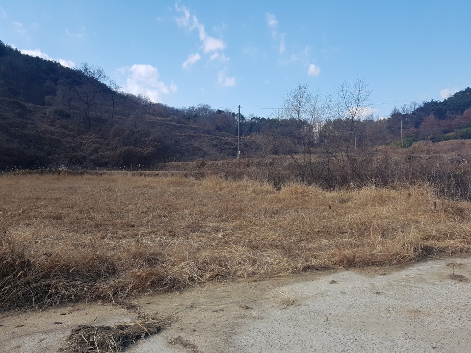 월항면 전원주택지 나텃밭매매 사진 - 5