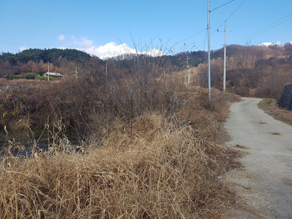 월항면 전원주택지 나텃밭매매 사진 - 4