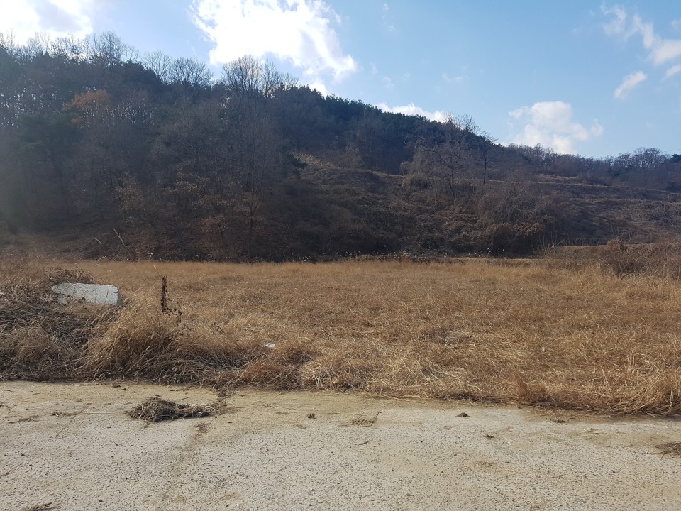 월항면 전원주택지 나텃밭매매 사진 - 9