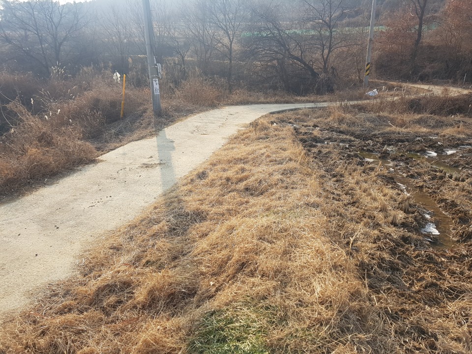 초전면 땅,임야매매 사진 - 6