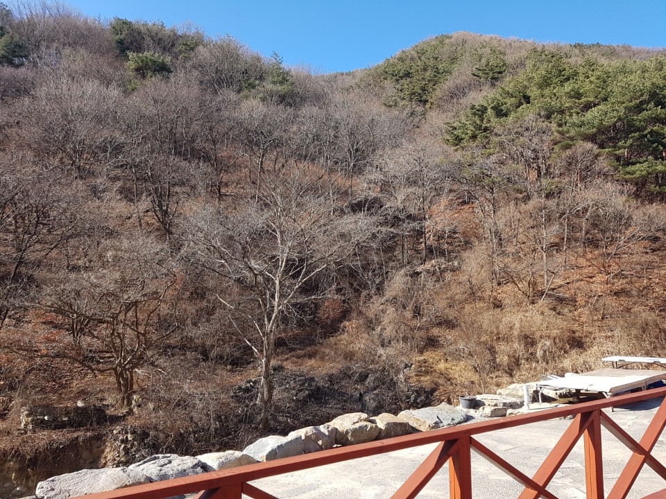 수륜면 청정지역 전원주택 매매 사진 - 12