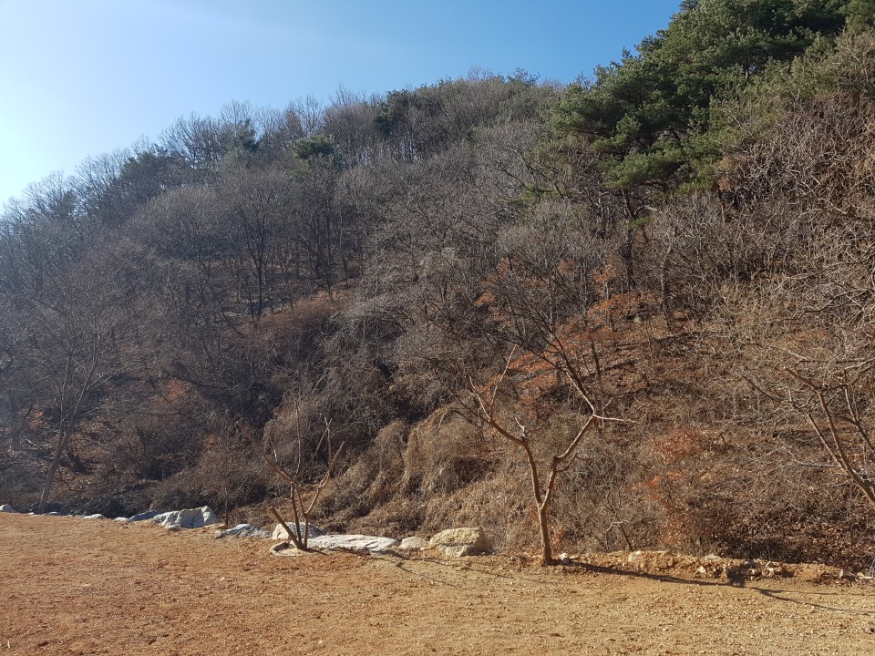 수륜면 청정지역 전원주택 매매 사진 - 14