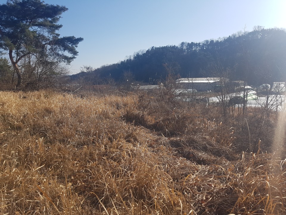 선남면 야산자락 전원주택지 매매 사진 - 4