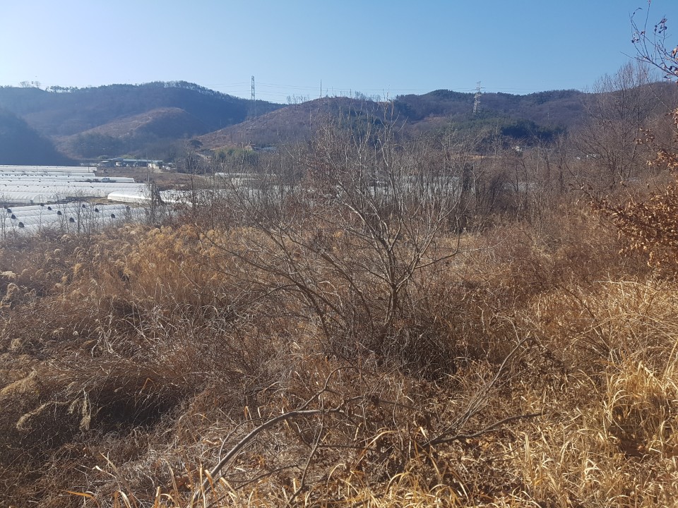 선남면 야산자락 전원주택지 매매 사진 - 5