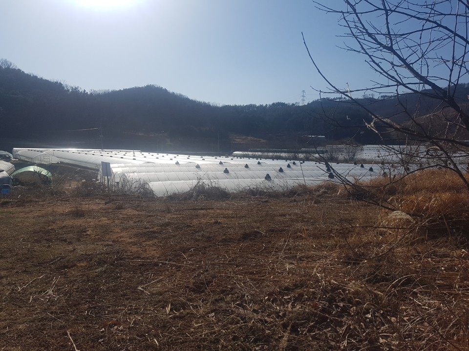 선남면 야산자락 전원주택지 매매 사진 - 6