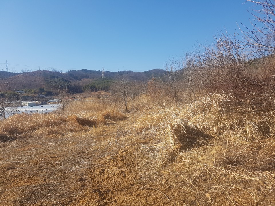 선남면 야산자락 전원주택지 매매 사진 - 3