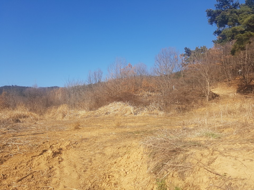 선남면 야산자락 전원주택지 매매 사진 - 2