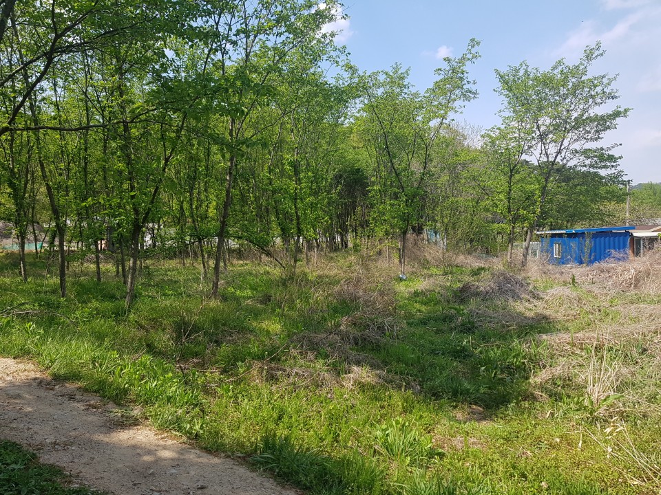 선남면 전원주택지 또는 텃밭 사진 - 3