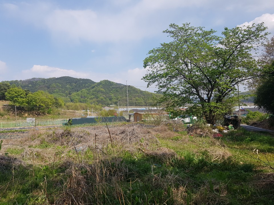 선남면 전원주택지 또는 텃밭 사진 - 8
