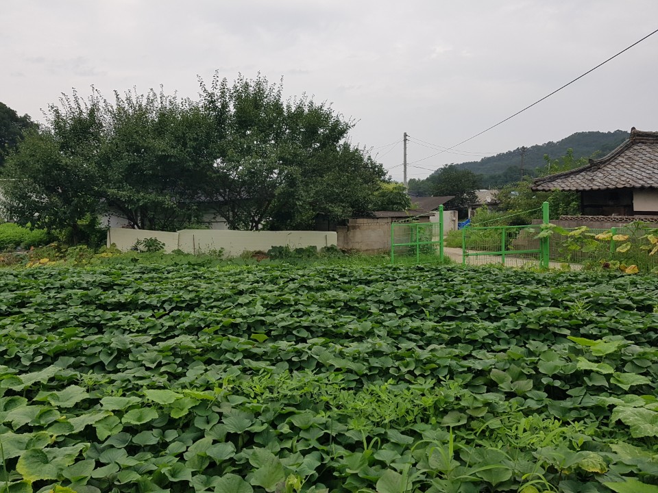 대가면 황토한옥집 매매 사진 - 6