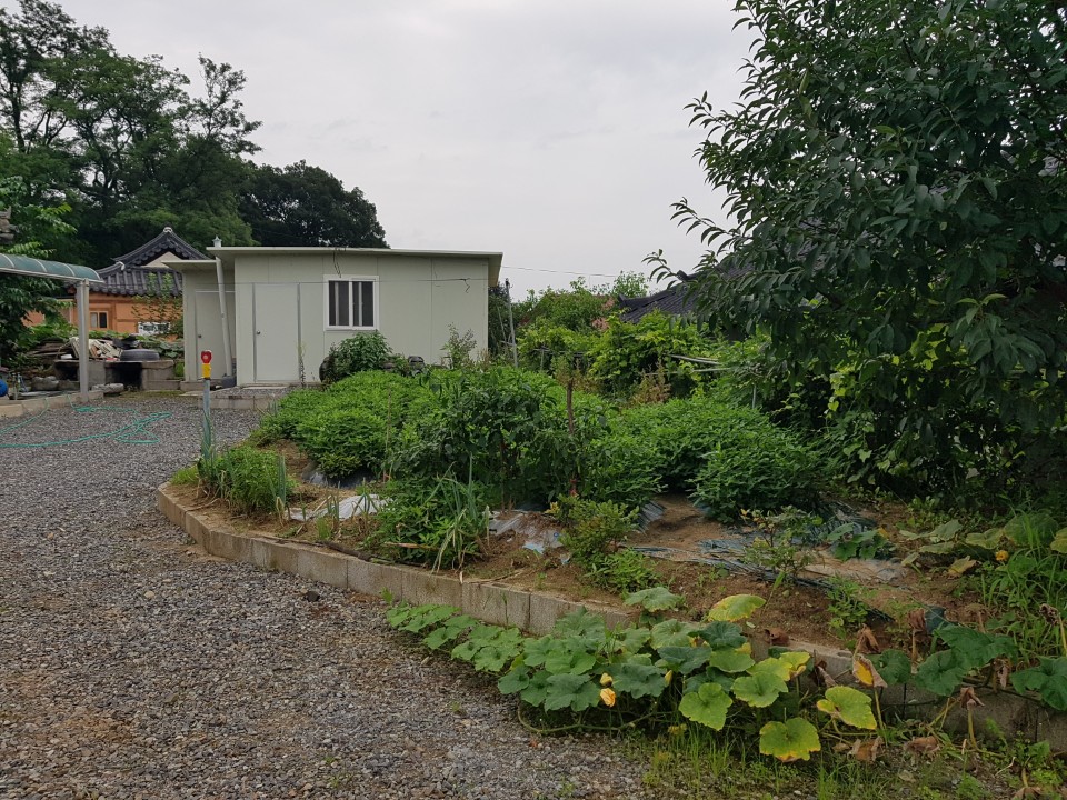 대가면 황토한옥집 매매 사진 - 7