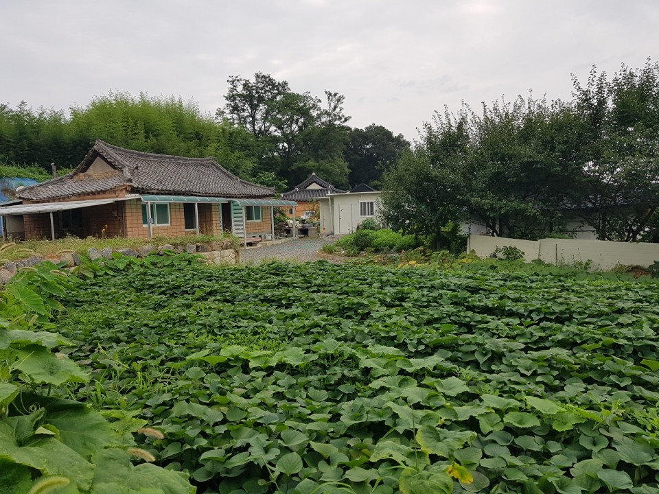 대가면 황토한옥집 매매 사진 - 3