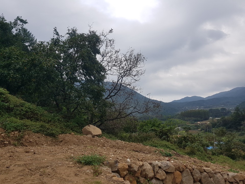 가야산자락 전원주택지 매매 사진 - 13