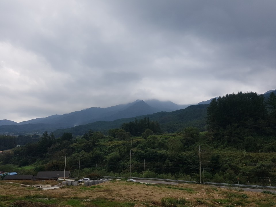가야산자락 전원주택지 매매 사진 - 14