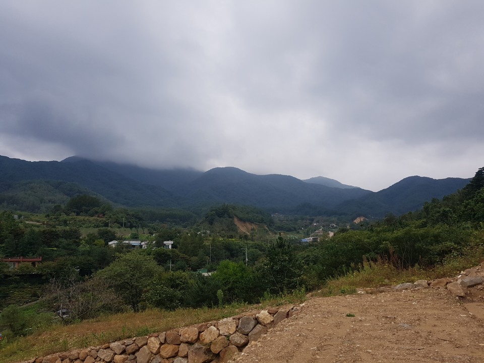 가야산자락 전원주택지 매매 사진 - 9