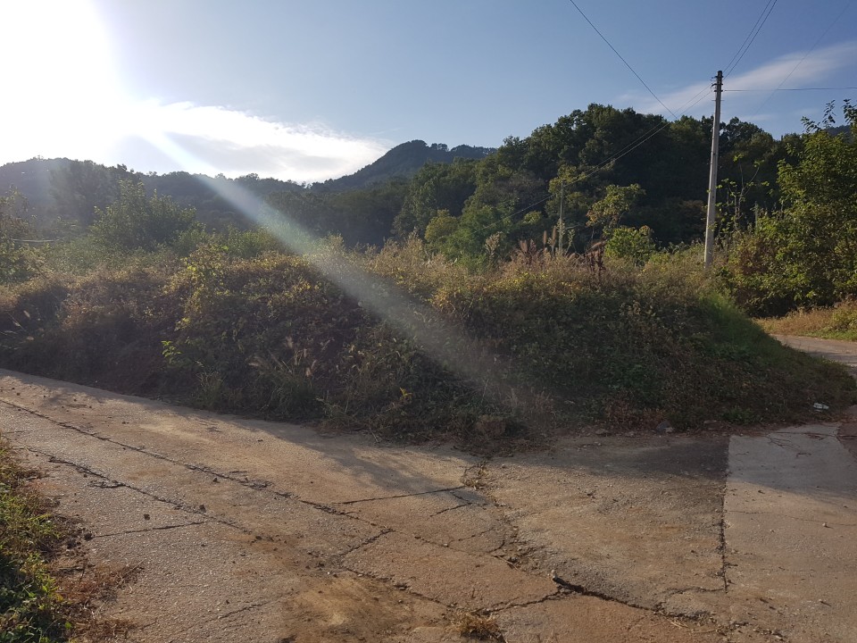 초전면 저렴한 넓은땅 사진 - 7