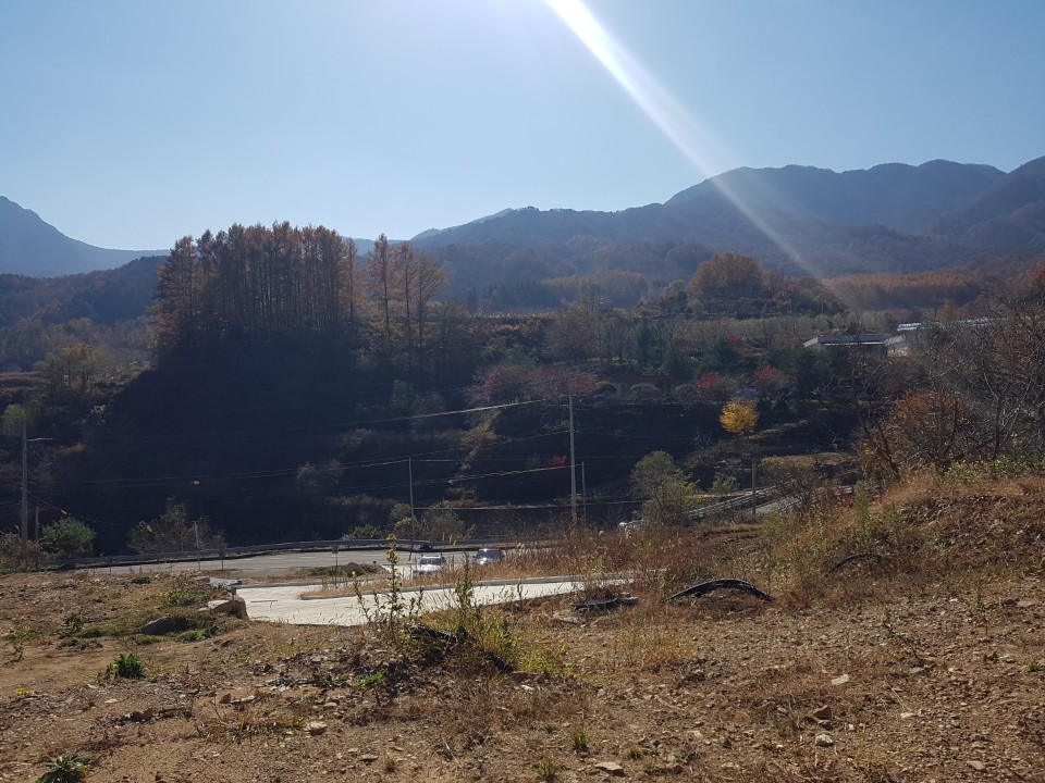 가야산자락 전원주택지 매매 사진 - 2
