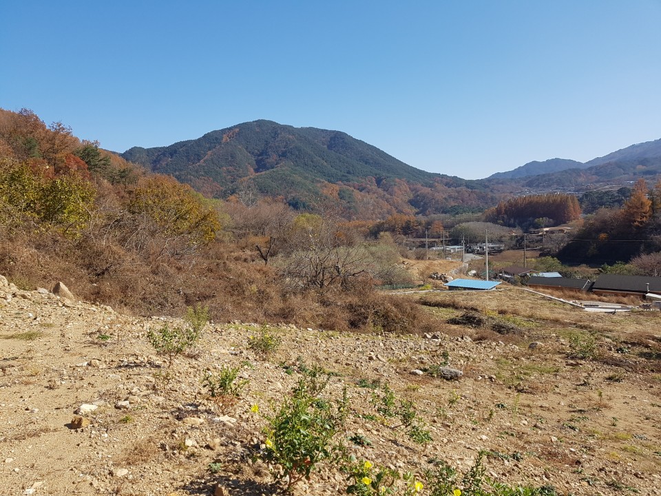 가야산자락 전원주택지 매매 사진 - 4