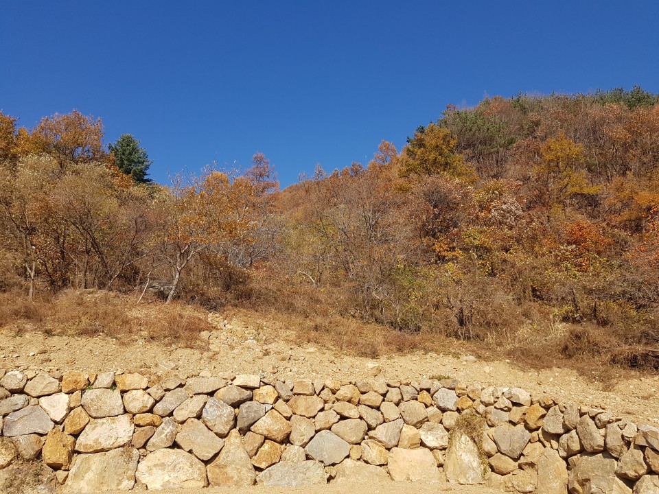 가야산자락 전원주택지 매매 사진 - 5