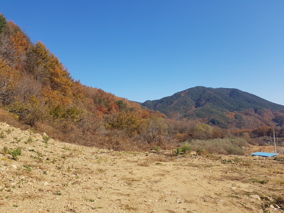 가야산자락 전원주택지 매매 사진 - 6