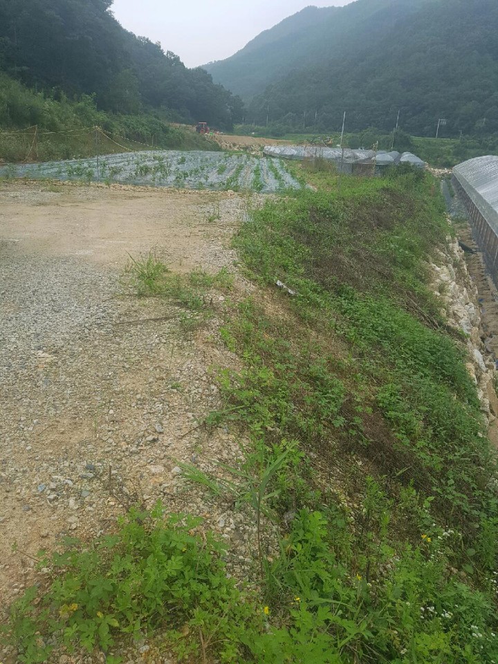 초전면 주말농장텃밭 매매 사진 - 2