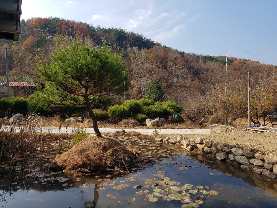 가천면 고급신축전원주택 매매 사진 - 10