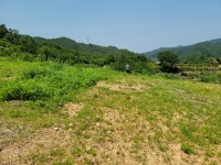 성주댐에서 가까운 김천시 청정지역 땅 - 3
