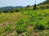 성주댐에서 가까운 김천시 청정지역 땅 - 2