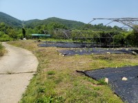 성주댐에서 가까운 김천시 청정지역 땅 - 10